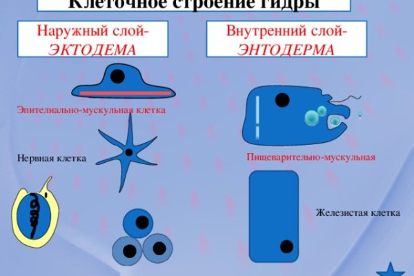 Кракен сообщество