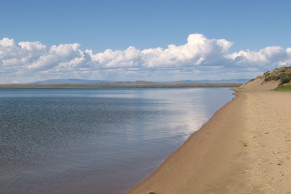 Кракен at сегодня работает ли