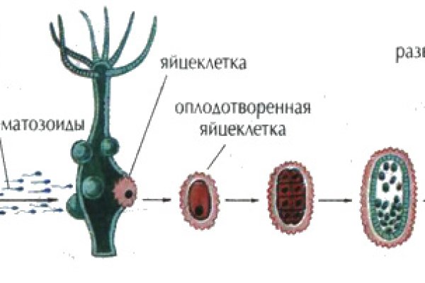 Кракен официальный сайт