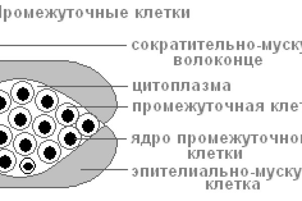 Kra35.gl