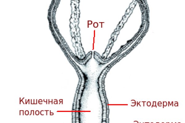 Kraken 18at зеркало