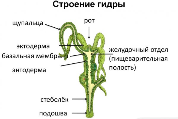 Ссылка на кракен в тор браузере