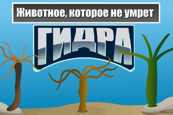 Настоящий сайт kraken