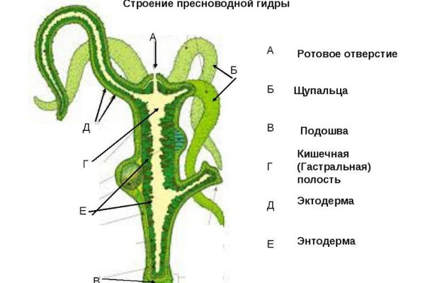 Войти даркнет